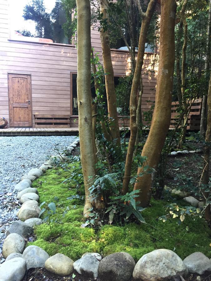 Dreamwoods Villa Puerto Varas Exterior photo